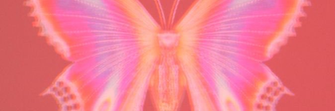 JessiOchoDos's profile banner image