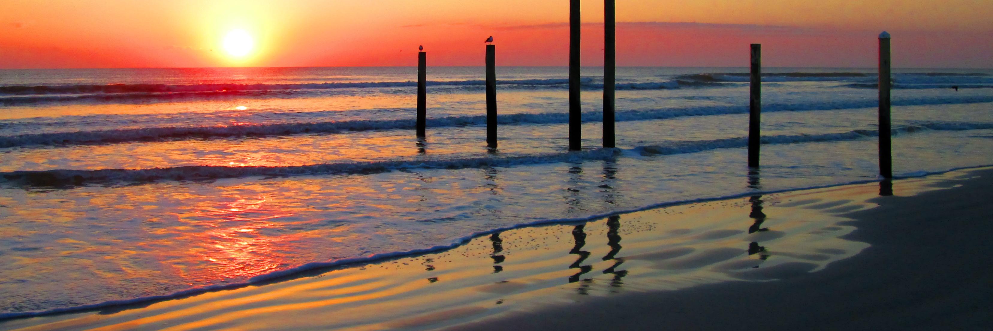 Elyza Rodriguez banner