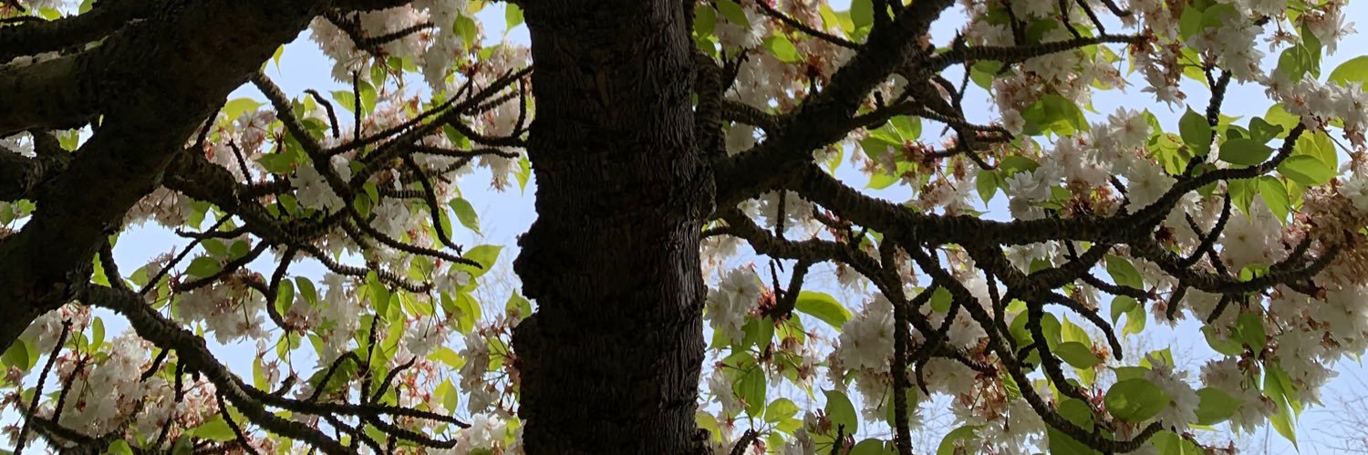 ajherit's profile banner image