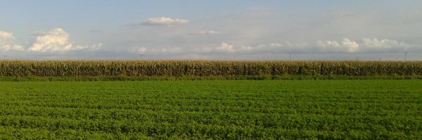 Emili_Blanco Profile Banner