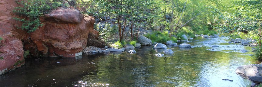 Arizona Project WET banner