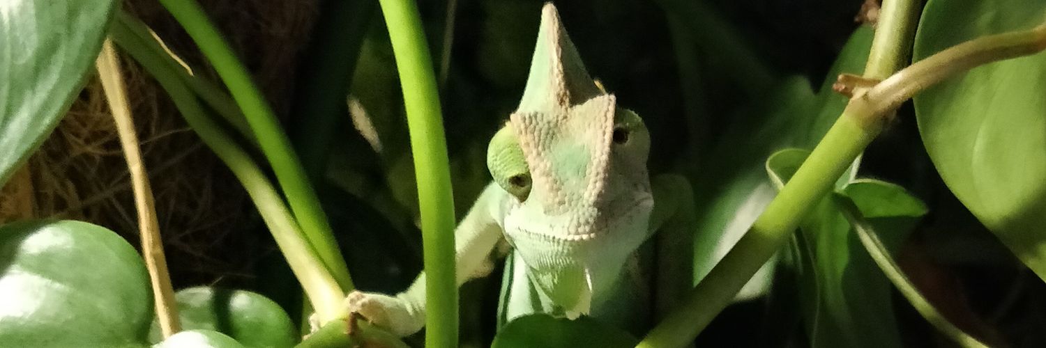 EddyMichMich's profile banner image