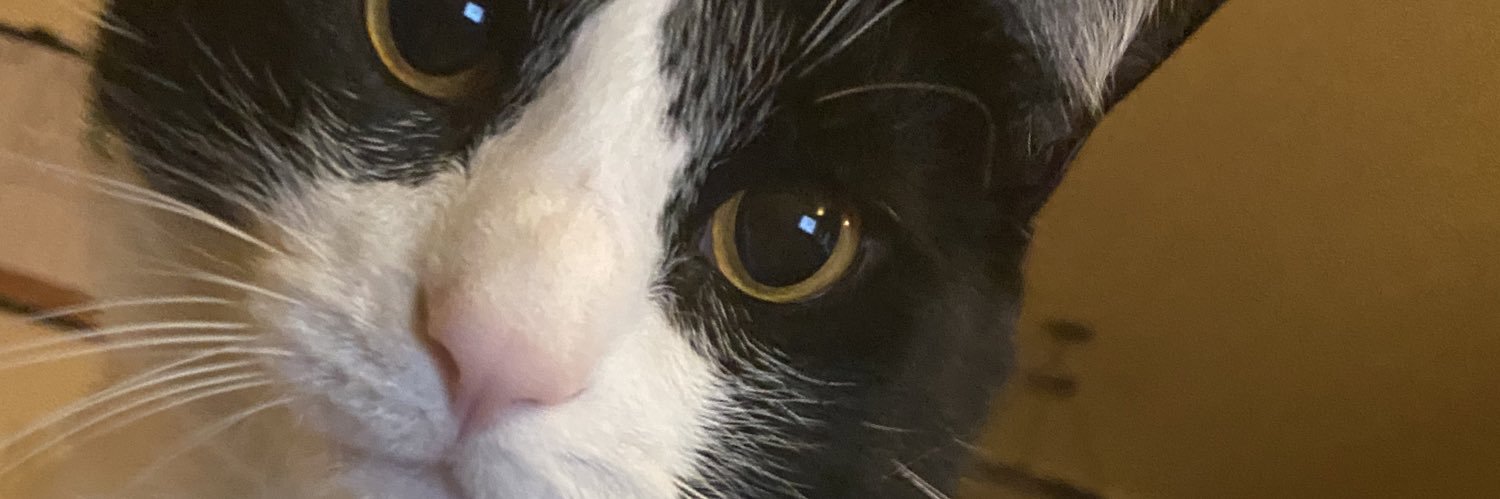 Lab_Member_Jake's profile banner image