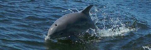 MarineScienceStation banner