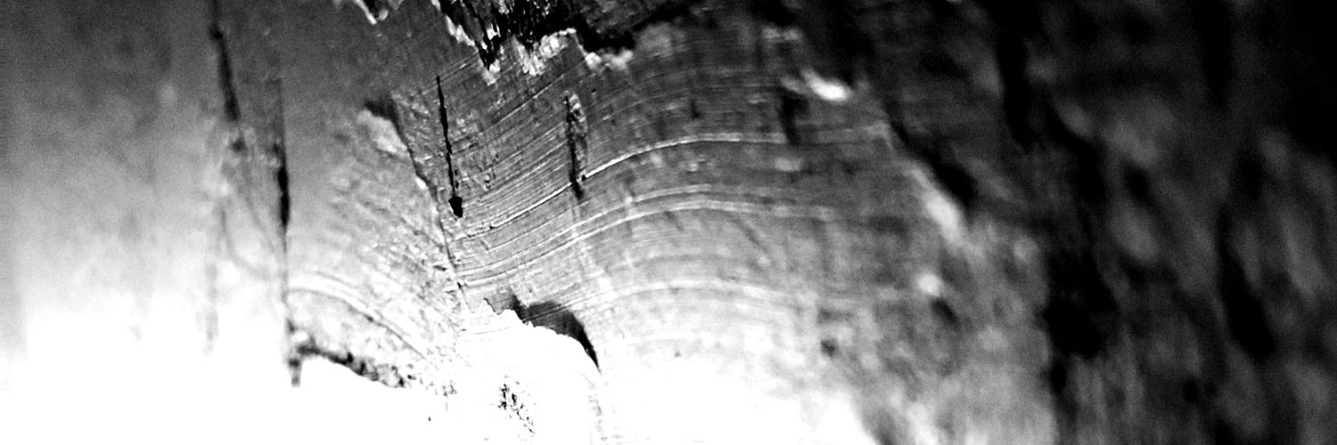 Sidarr0's profile banner image
