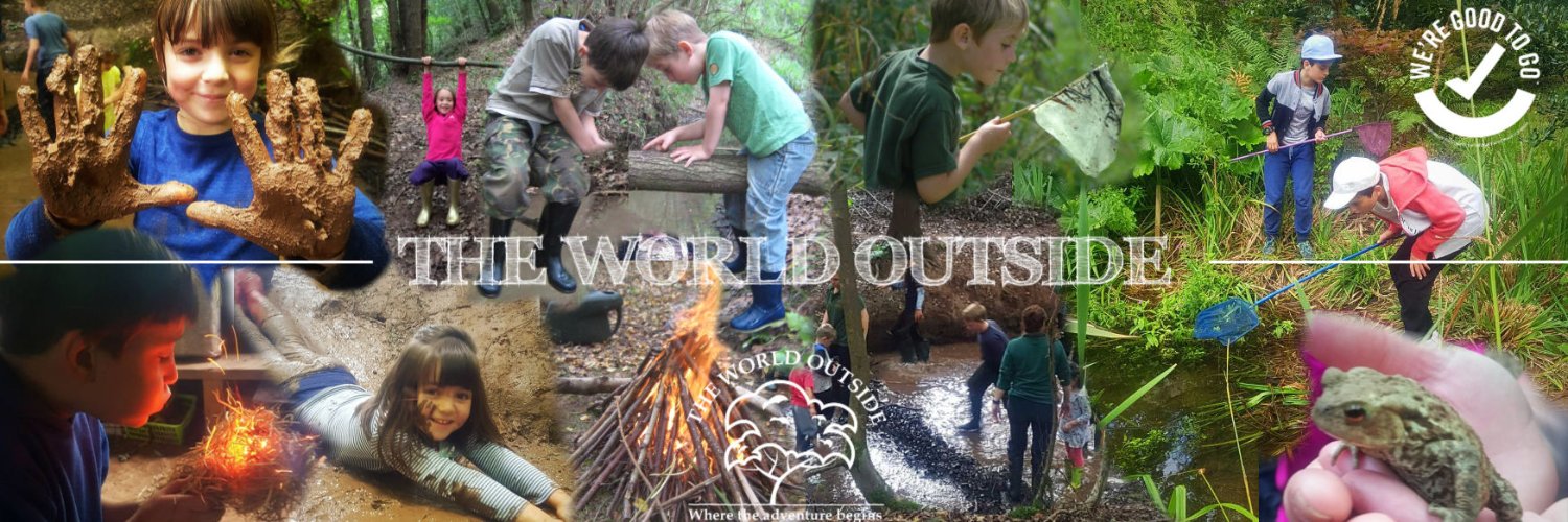 WorldOutsideFS's profile banner image