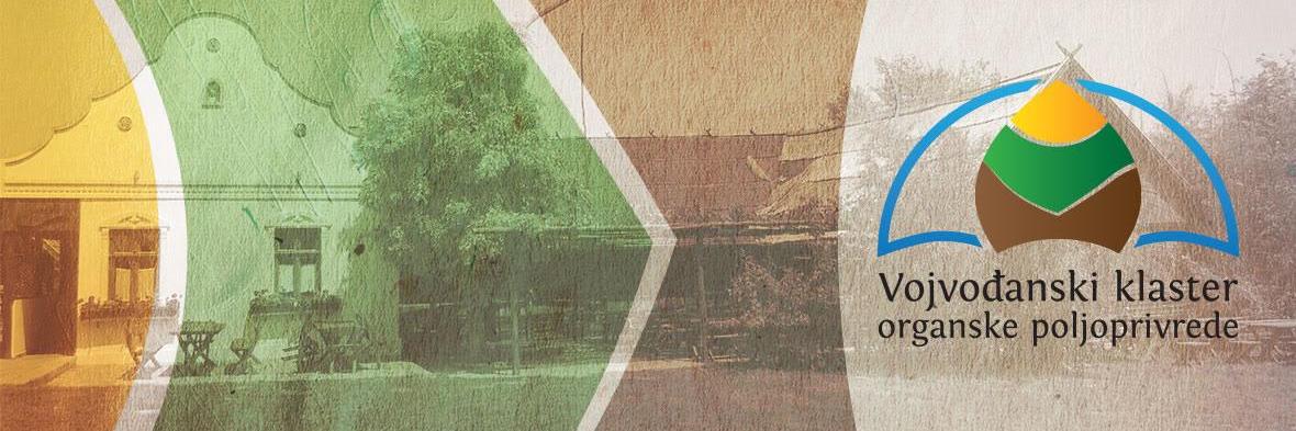 organskiklaster's profile banner image