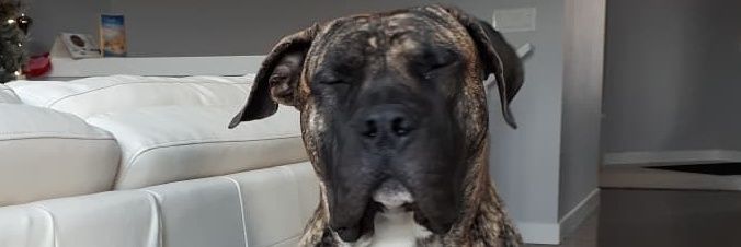 bobbyholuk's profile banner image