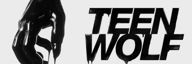 VinesTWolf's profile banner image