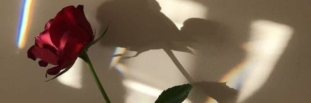 _secuelas's profile banner image