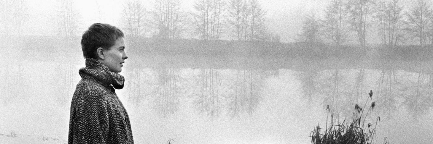 CharlsChap's profile banner image