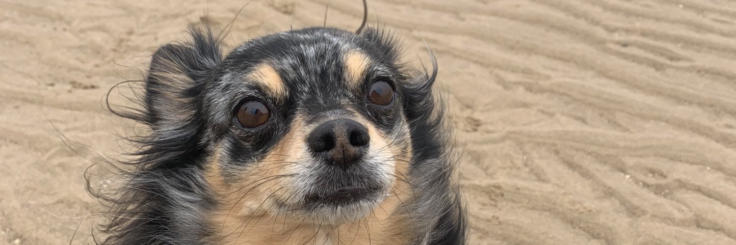 KenzieLloydJ's profile banner image