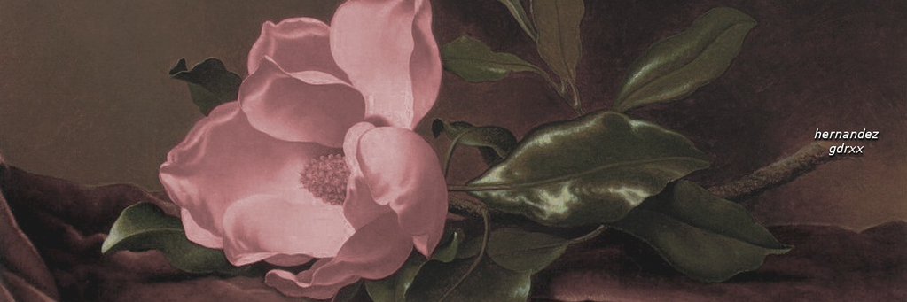 hallengdrs's profile banner image