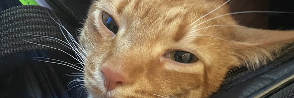 clintfrazier Profile Banner