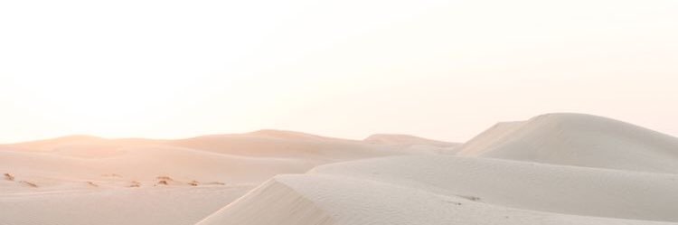 anasofisgou's profile banner image