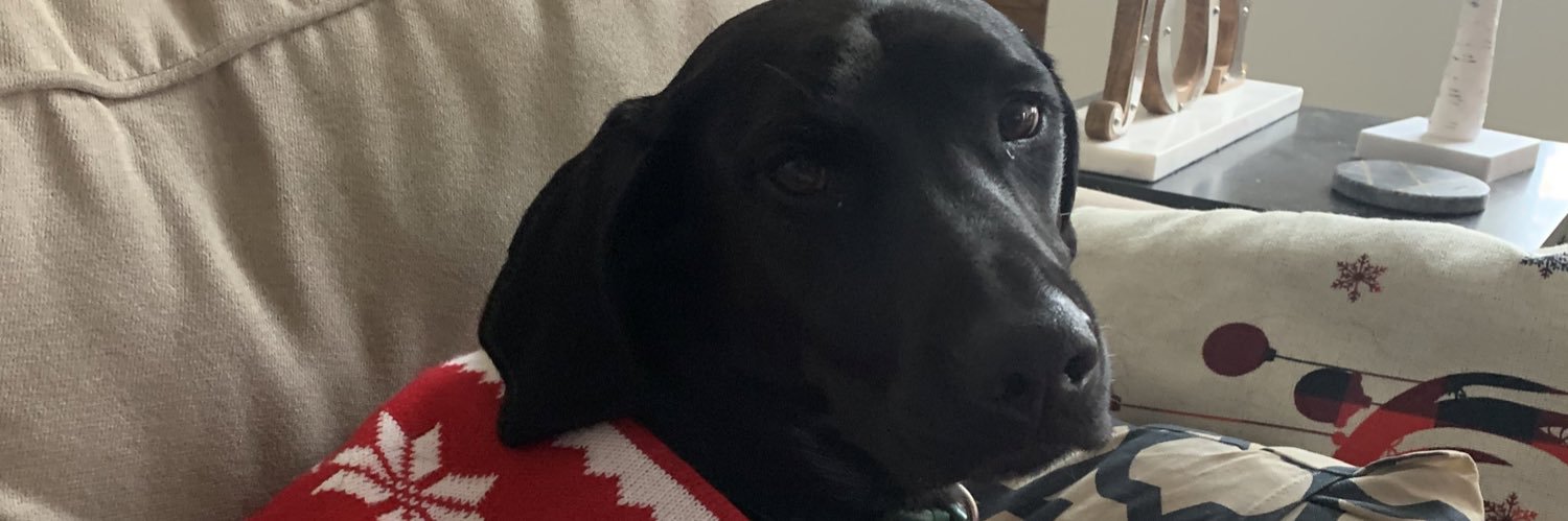 Mary_Rechtoris's profile banner image