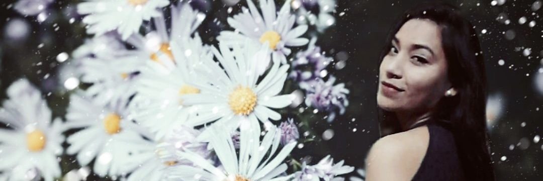 SueCalaca's profile banner image