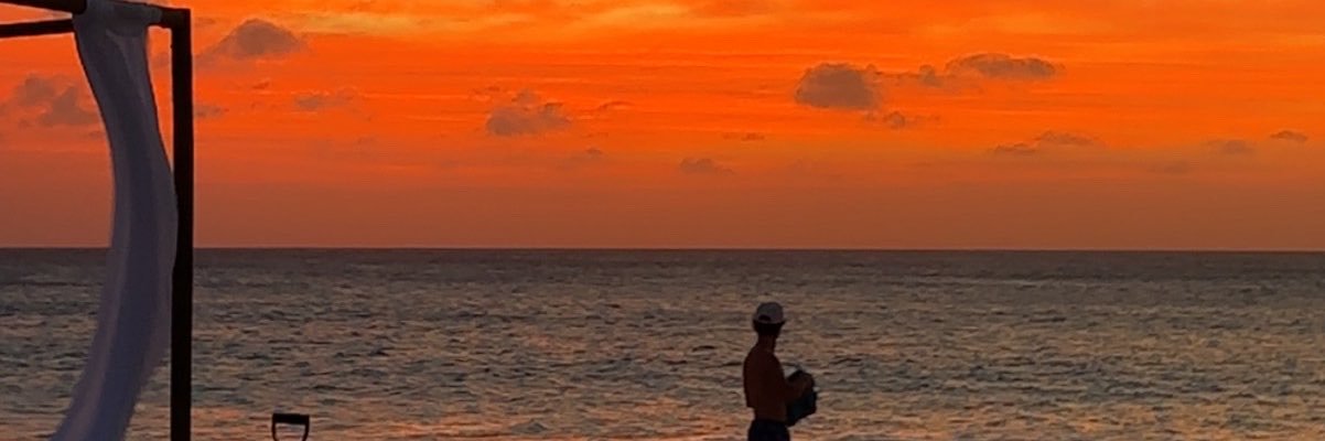 dono_shea's profile banner image