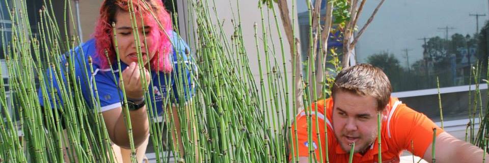 Ccannons2015's profile banner image