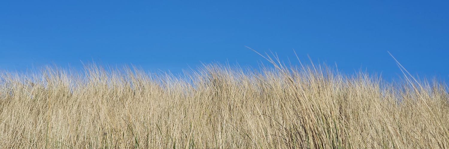 mark_s_75's profile banner image