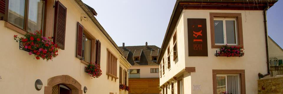 Domaine Bott-Geyl banner