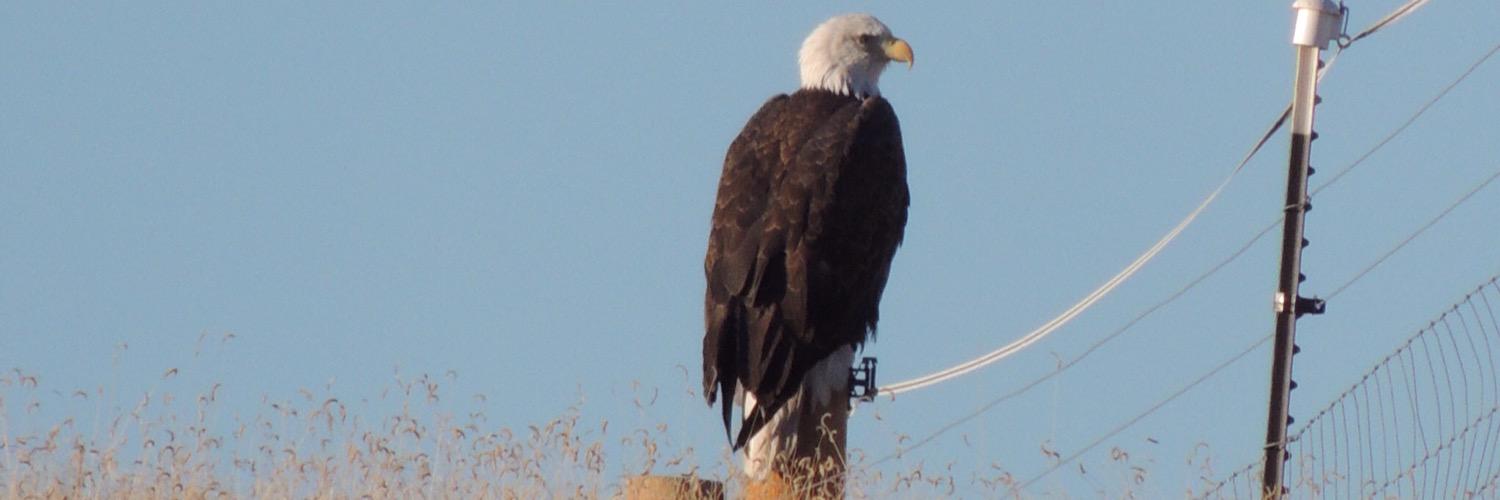 bbain67fstbk's profile banner image