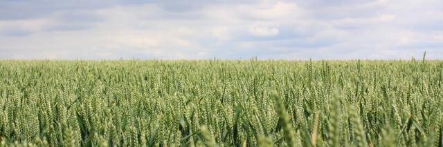 AgGateway's profile banner image