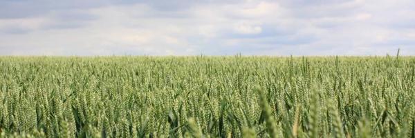 AgGateway Profile Banner