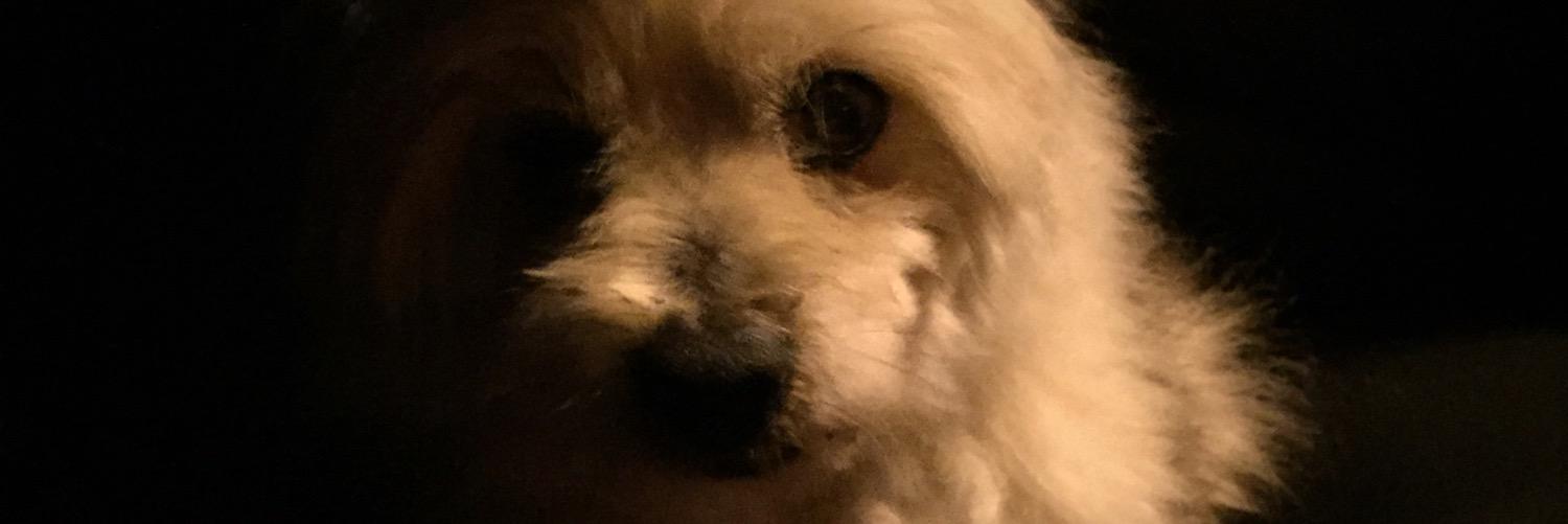 bernyswkenditis's profile banner image
