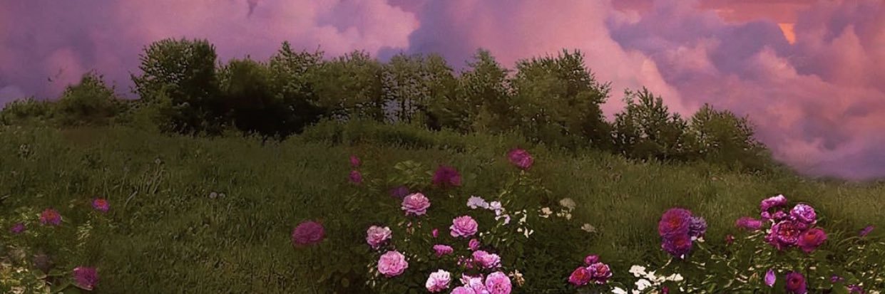 daintinesss's profile banner image