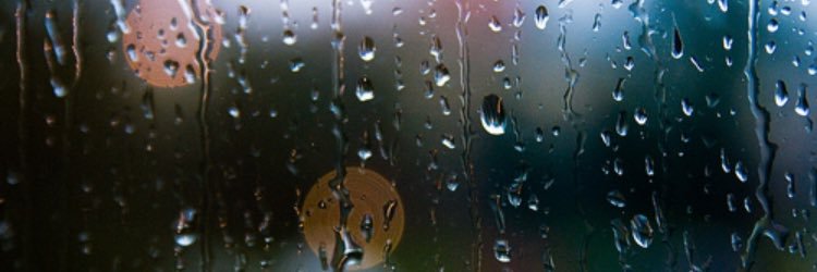 alexgrxce99's profile banner image