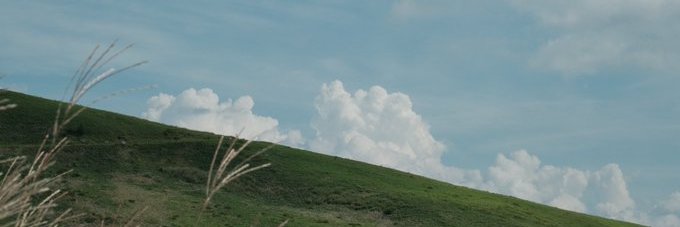 yourdeleali's profile banner image