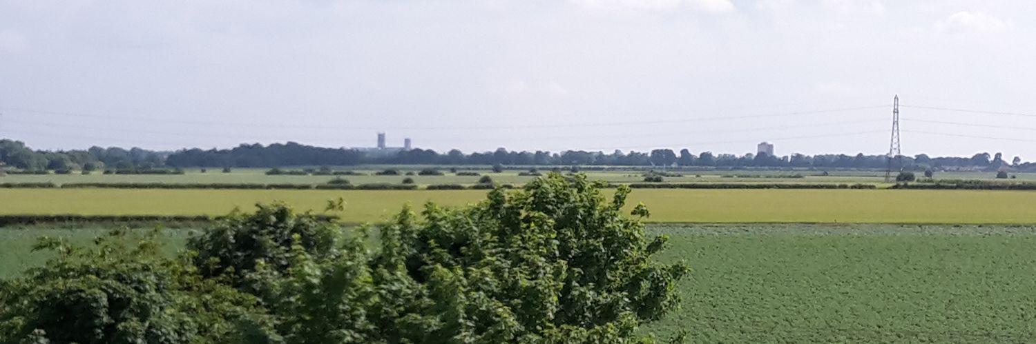 DReetham's profile banner image