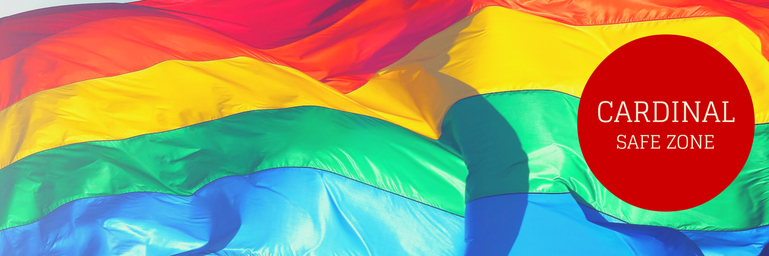 NCSafeZone's profile banner image