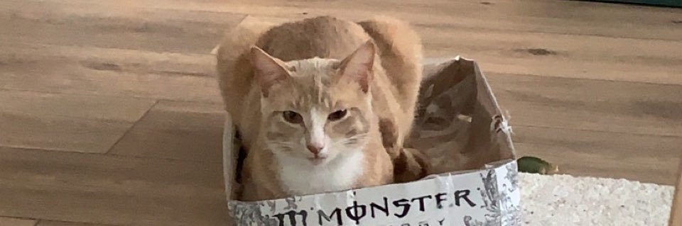 elfonski's profile banner image