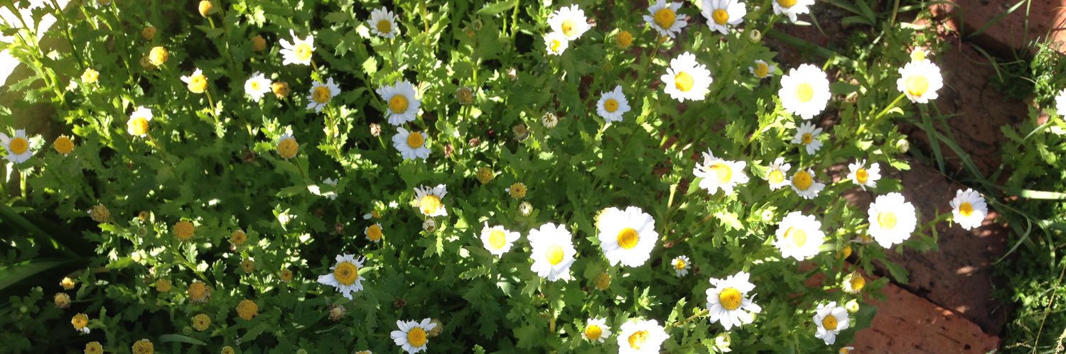 Samantha Page banner