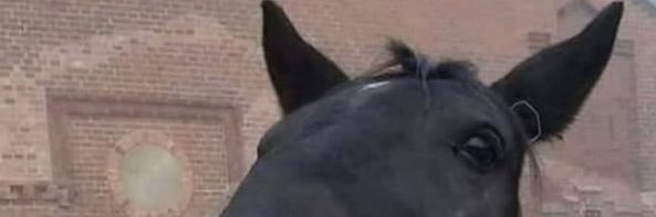 Facundo 🇦🇷 banner