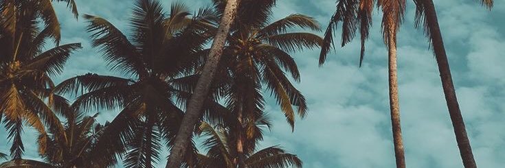 Frt_ludo's profile banner image