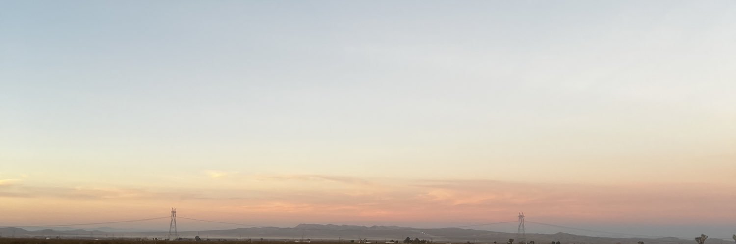 Zani Vie banner