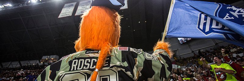 Roscoe banner
