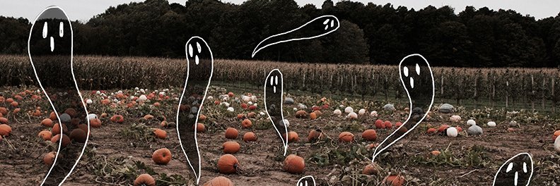 elisa_sleep's profile banner image