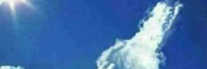 Forlemustael's profile banner image