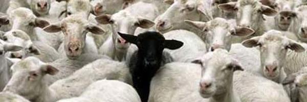 ldastrain Profile Banner