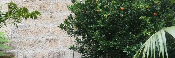 dana_leidl Profile Banner