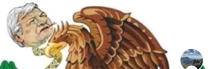 ludatoji's profile banner image