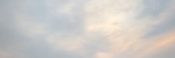 bielconn Profile Banner