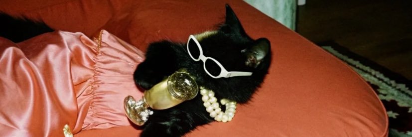 karolplt's profile banner image