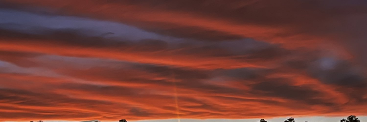 ...Tymiami banner