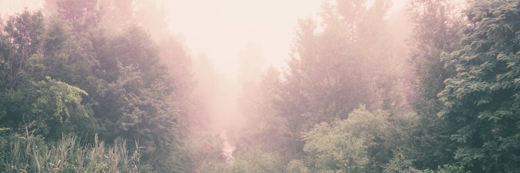 rjaytd's profile banner image