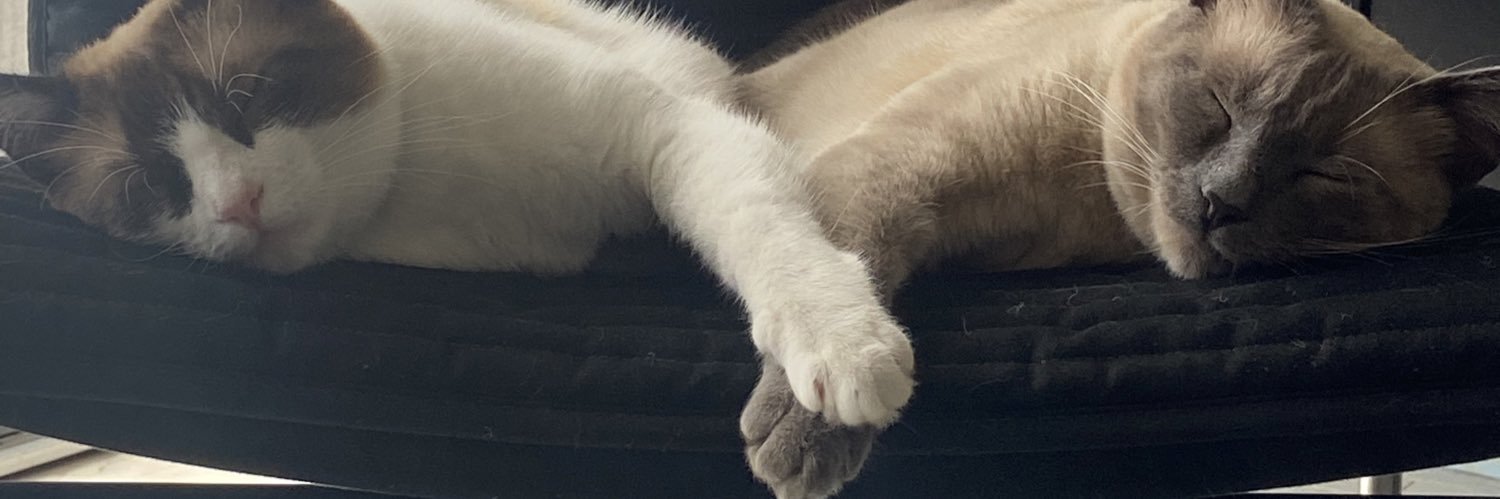 biarmss's profile banner image